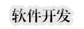 软件开发