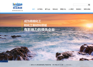 集团网站建设